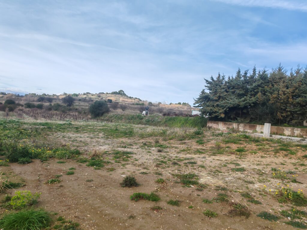 Construction maison – Saint-Pargoire (34230)