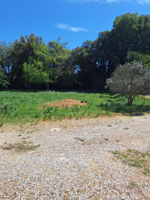 Construction maison – Alleins (13980)