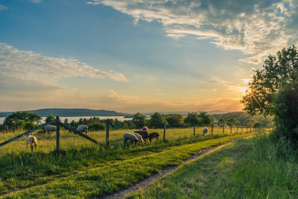 Construire dans une petite commune pour une meilleure qualité de vie